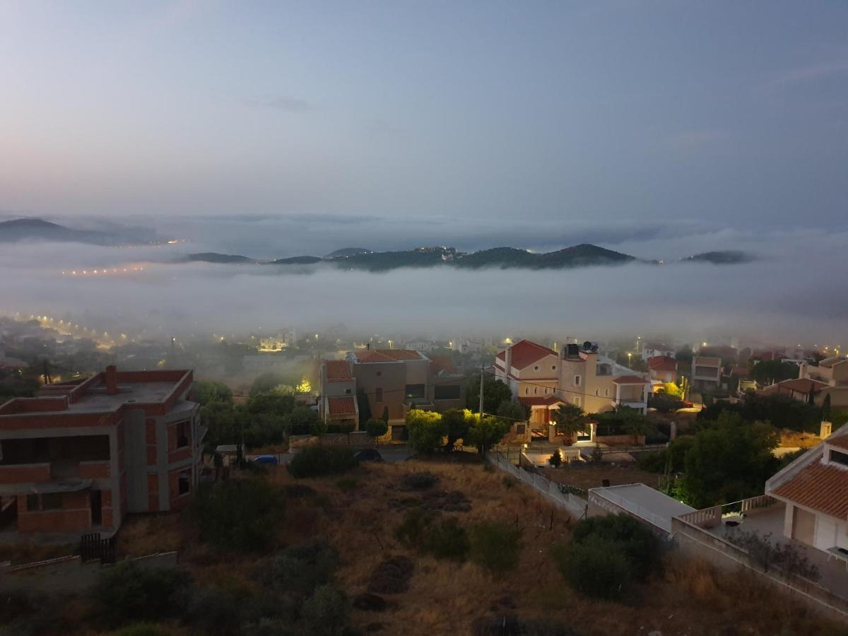 Διαμέρισμα Stergiou Luxury With Shared Pool