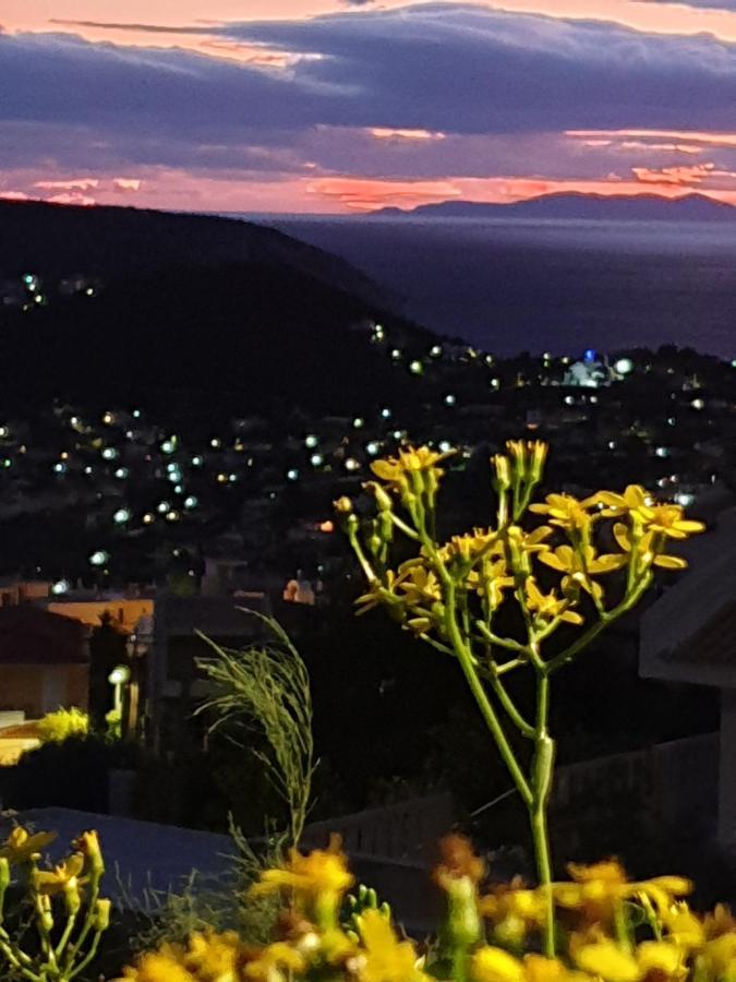 Stergiou Luxury With Shared Pool Apartament